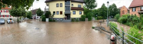 Naturschutz contra Hochwasser