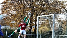 Spielberichte 1. Mannschaft TSV Berkheim Fußball