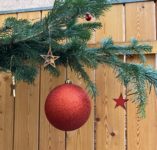 Ein Tannenbaum wird zum Weihnachtsbaum