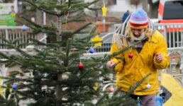 Grüner Adventskalender in der Esslinger Innenstadt