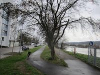 Gefährdet das Baudezernat den Radschnellweg?