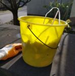 FrühjahrESputz am 27. März – Vielen Dank!