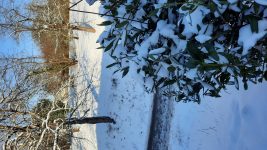 Was mache ich in den Wechseljahren? – Hormon-Yoga!