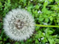 Geburtsvorbereitung und PEKiP gemeinsam vor Ort