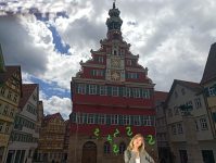 Wer vereint Klimaschutz und gutes Leben?