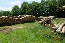 Der Stadtseniorenrat startet neu
