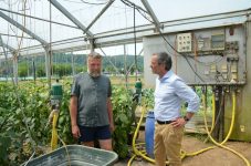 Esslinger Gemüse – wichtig für Vittorio Lazaridis?