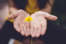 Entfalte deine Ressourcen