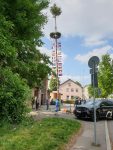 Heimatverein Esslingen stellt  Maibaum wieder auf