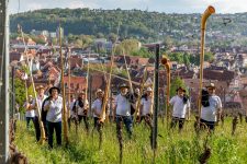 Alphörner beim Bürgerfest