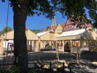 Lindlohr: Triff die Grünen!