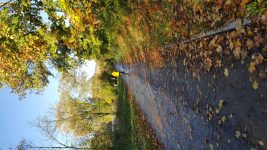 Sicher Radfahren im Herbst