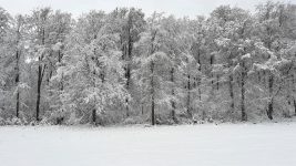 Weihnachten – das Fest der Liebe fröhlich feiern