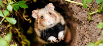 Weihnachtsgedanken und Zukunftsgedanken