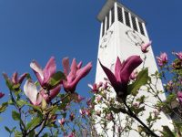 Familiengottesdienst, Vortrag, Mittagessen