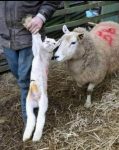 Gedanken zu Ostern