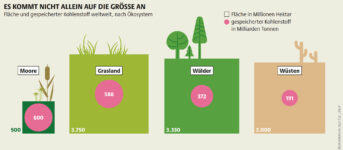 Torf gehört ins Moor – nicht in Gartenbeete!