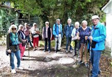 Rückblick Seniorenwanderung und neue Wanderung
