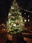Weihnachtsbaum Pliensauvorstadt