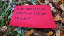 2.12.: Klimaschutz und Liebe, geht das zusammen?