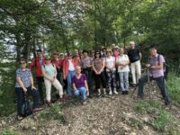 Wanderbericht: Eybacher Felsensteig am 17.07.2024