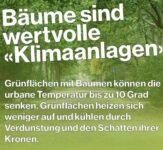 Baumpatenschaften – Gießpatenschaften