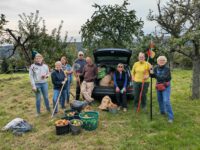 Rekordernte auf den Streuobstwiesen