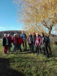 Jahresabschlußwanderung der Gruppe Naturgenuss