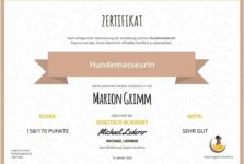 HUNDEMASSAGE  + KATZENBETREUUNG BEI TIERGLÜCK E.V