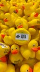 9000 Enten beklebt fürs 16. Esslinger Entenrennen