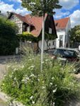 Baumscheibe bepflanzen beim Esslinger Frühling