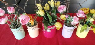 WEIL- wir den Frühling erwarten…!