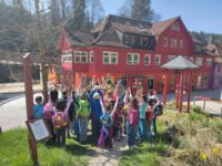 Die Kindersportschule im Eins und Alles
