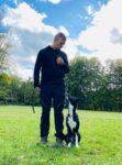 Buntes Programm mit Hundeshow