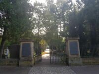 Ebershaldenfriedhof: Führungen bis in den August