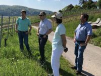 Unterwegs durch die  Steillagen-Weinberge