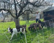 Arbeitseinsatz im Hainbachtal