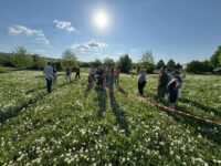 Infoveranstaltung zum Pumptrack “Am alten Neckar”