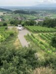 OGV Mettingen Jahresausflug 2025 Kaiserstuhl-Elsas