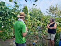 Nutzpflanzenbibliothek auf Gartenkultour am 19.8.