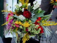 Kräuterweihe mit Sommerfest im Kirchengarten