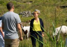Artenvielfalt im Steinbruch Nonnenklinge