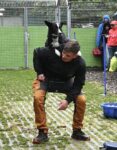 Tag der Begegnung mit Hundeshow