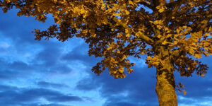 In drei Schritten zu mehr innerer Stärke