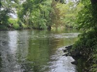 Wanderung um Mühlhausen (Enz) am 28.09.2025