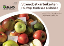 Jakob Fischer – Schöner vom Oberland !