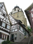 Aktuelles aus der Arbeit des BUND Landesverbandes
