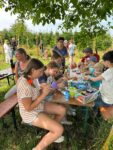 Erntezeit im Vereinsgarten