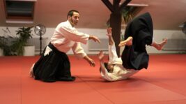 Aikido-Anfängerkurs