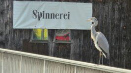 Großes Ankommen-Festival in der Spinnerei